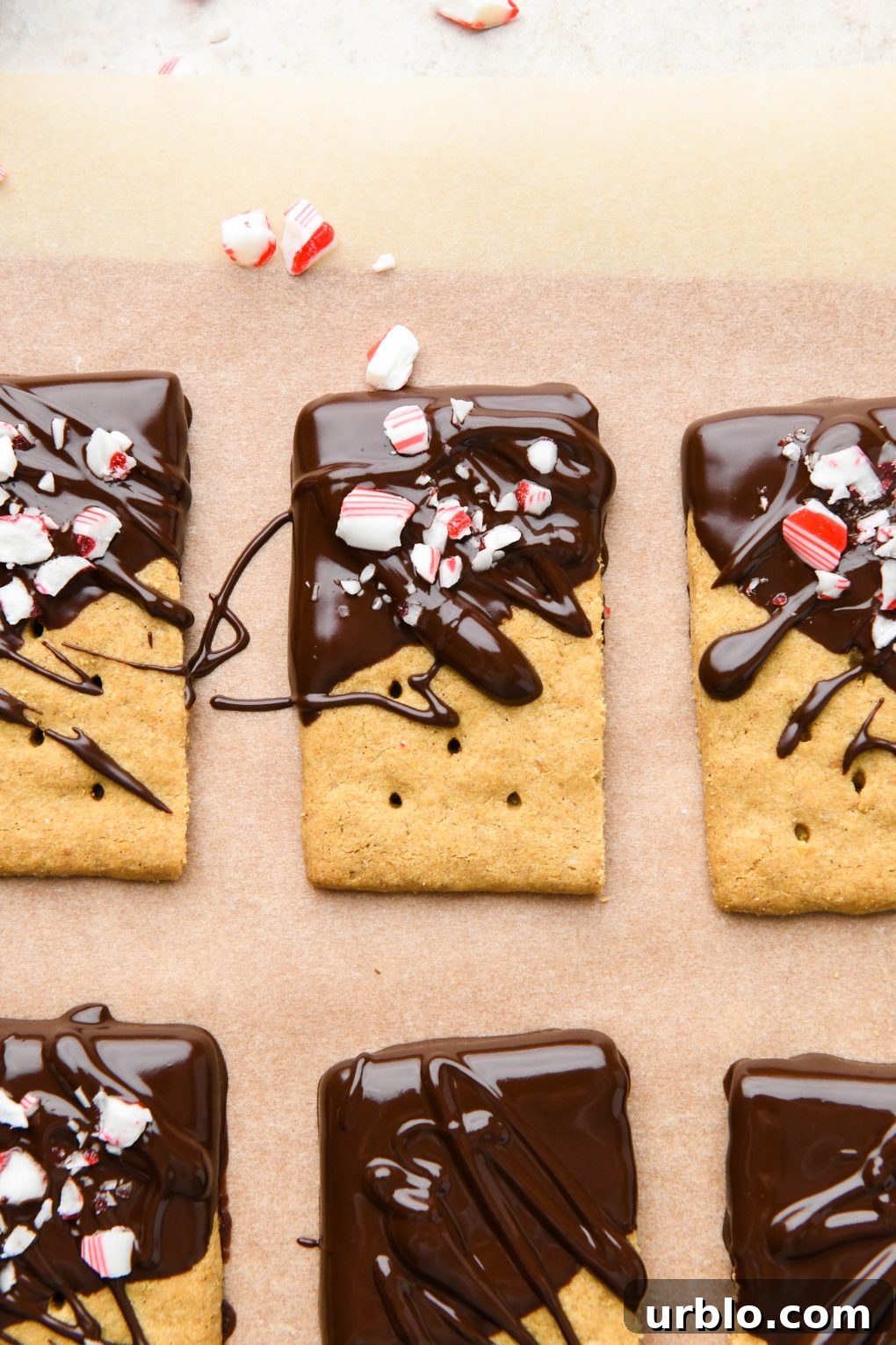Chocolate dipped graham crackers topped with crushed candy canes on a parchment lined surface.