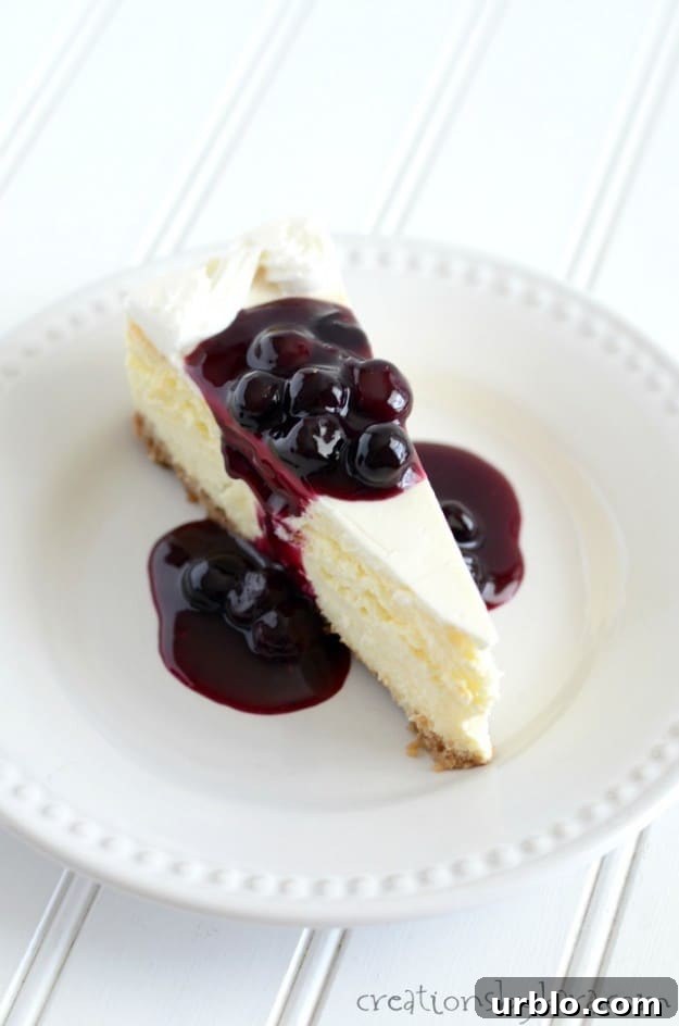 slice of cheesecake on a plate, topped with blueberry sauce
