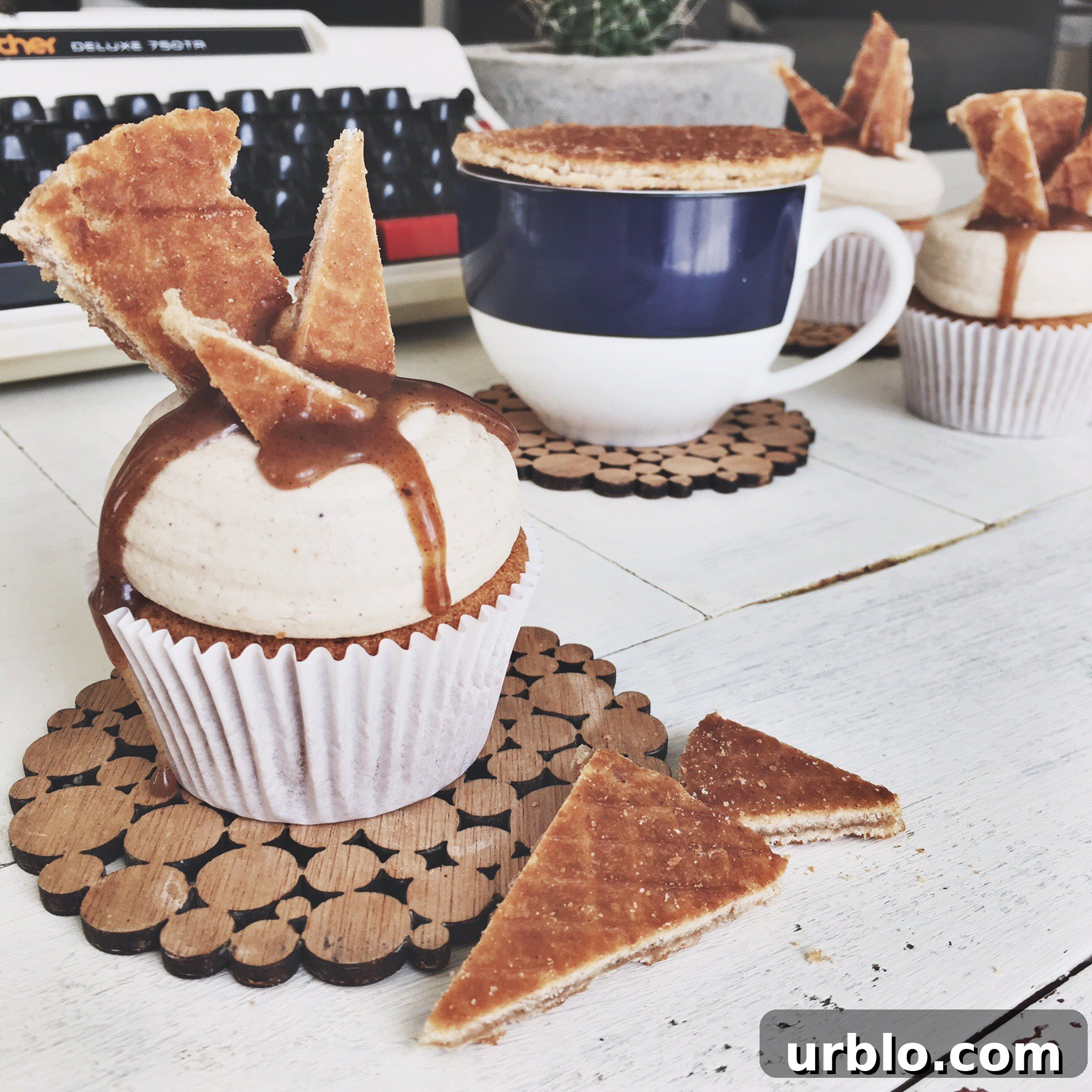 img 255 1