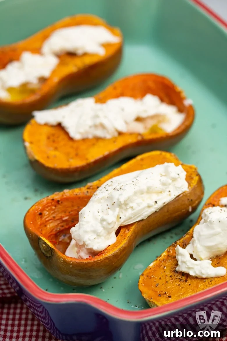 Roasted honeynut squash topped with burrata cheese