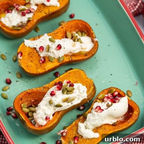 Roasted Honeynut Squash with Burrata, Pomegranate + Pepitas in a baking dish