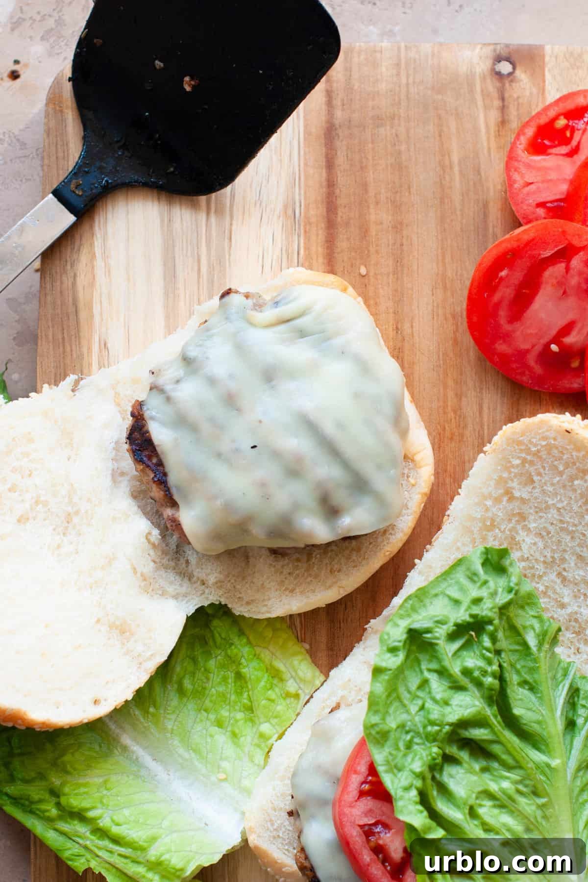 Juicy Turkey Burger Recipe with Simple Ingredients and Tips 6 turkey burger on bun