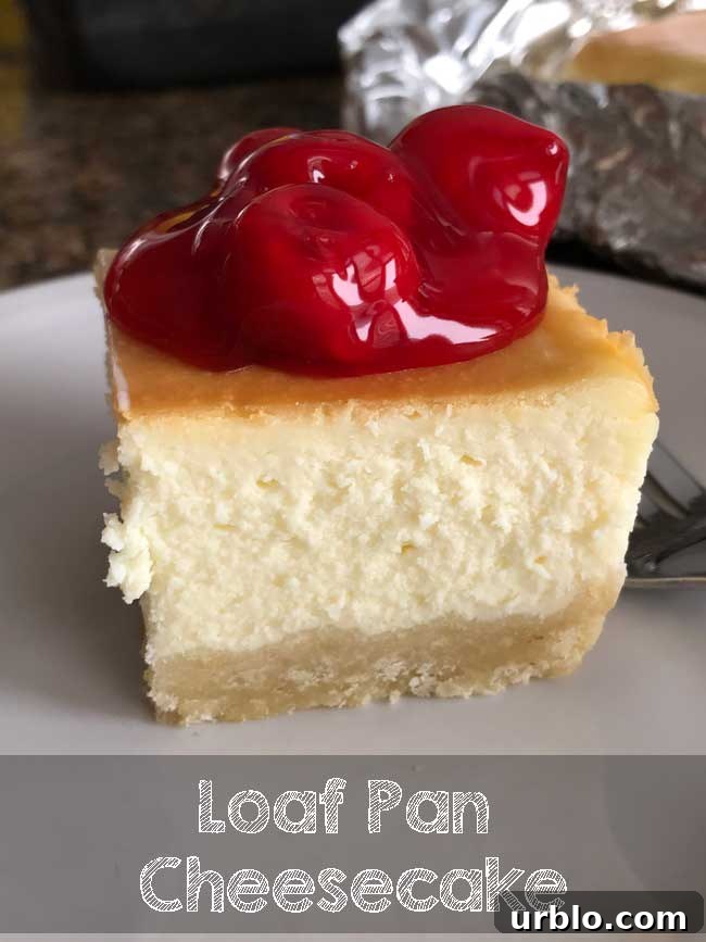 Loaf Pan Cheesecake with Trader Joe's Morello Cherries on top.