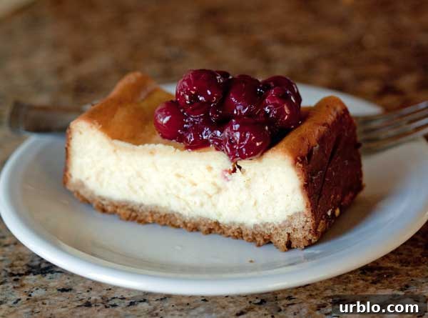 loaf pan cheesecake recipe with a topping made from Morello cherries.