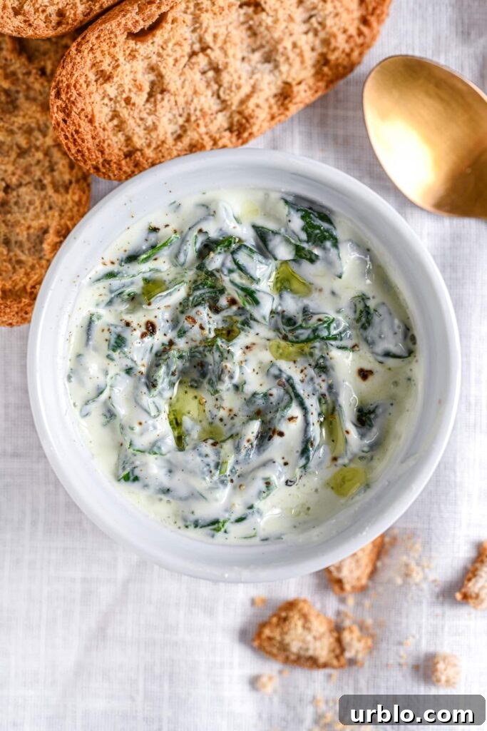 Creamy Spinach Dip: Classic Recipe for Parties and Snacks 2 Spinach Dip Recipe