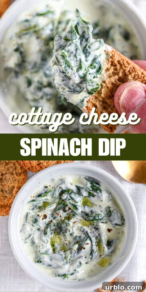 Creamy Spinach Dip: Classic Recipe for Parties and Snacks 3 Cottage Cheese Spinach Dip Recipe