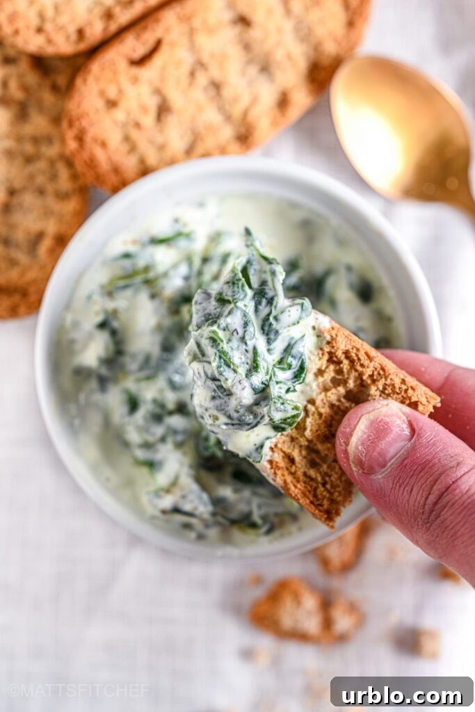 Creamy Spinach Dip: Classic Recipe for Parties and Snacks 4 Spinach Dip Recipe