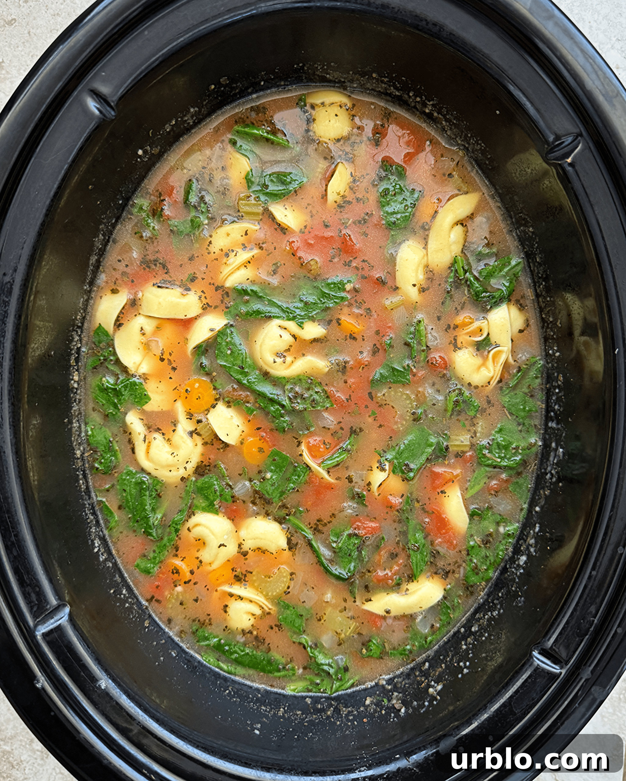 This slow cooker vegetable tortellini soup is a comforting and flavorful dish with carrots, onion, celery, and tortellini in a tomato broth.