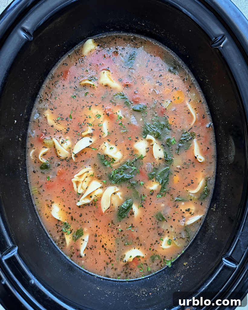overhead shot of cooked vegetable tortellini soup in a black slow cooker