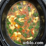 This slow cooker vegetable tortellini soup is a comforting and flavorful dish.
