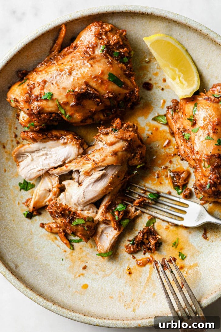 Closeup of fork picking up half-eaten chicken thighs.