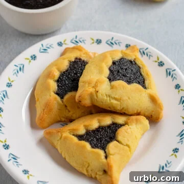 Close up of 3 poppy seed hamantaschen on a flowery plate with a bowl of filling in the background.