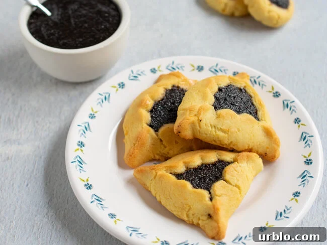 Poppy seed hamantaschen on a flowery white plate with a bowl of poppy seed filling in the background.