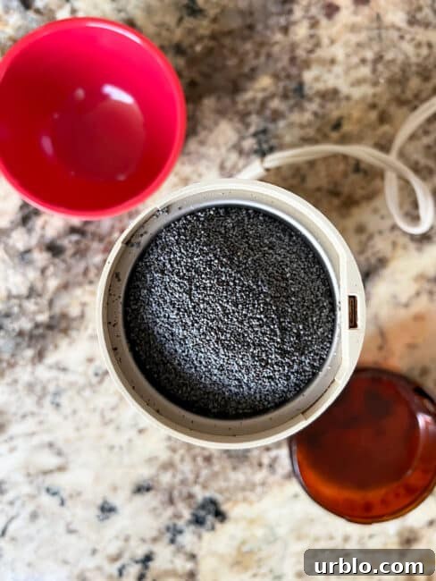 Poppy seeds in grinder before grinding.