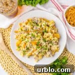 french onion and beef casserole on white plate