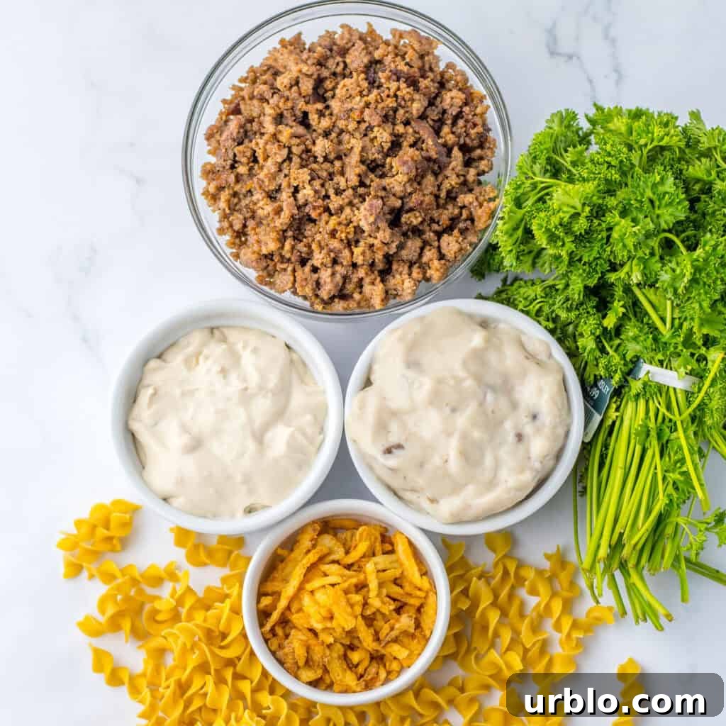 french onion and beef casserole ingredients on countertop