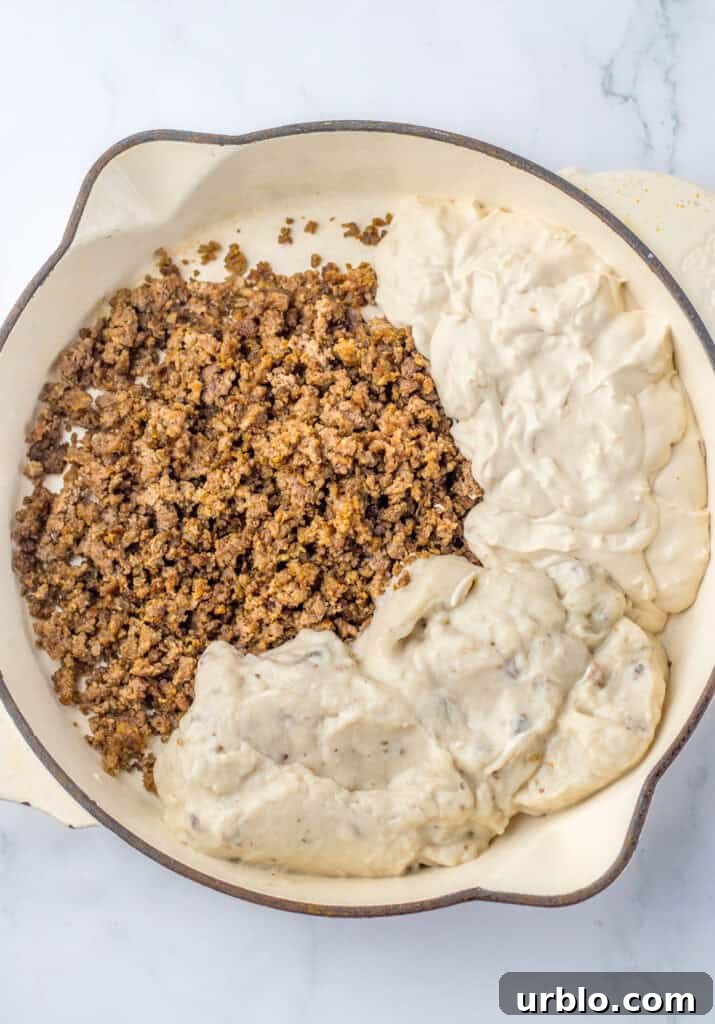 beef, cream of mushroom soup, and sour cream in pot