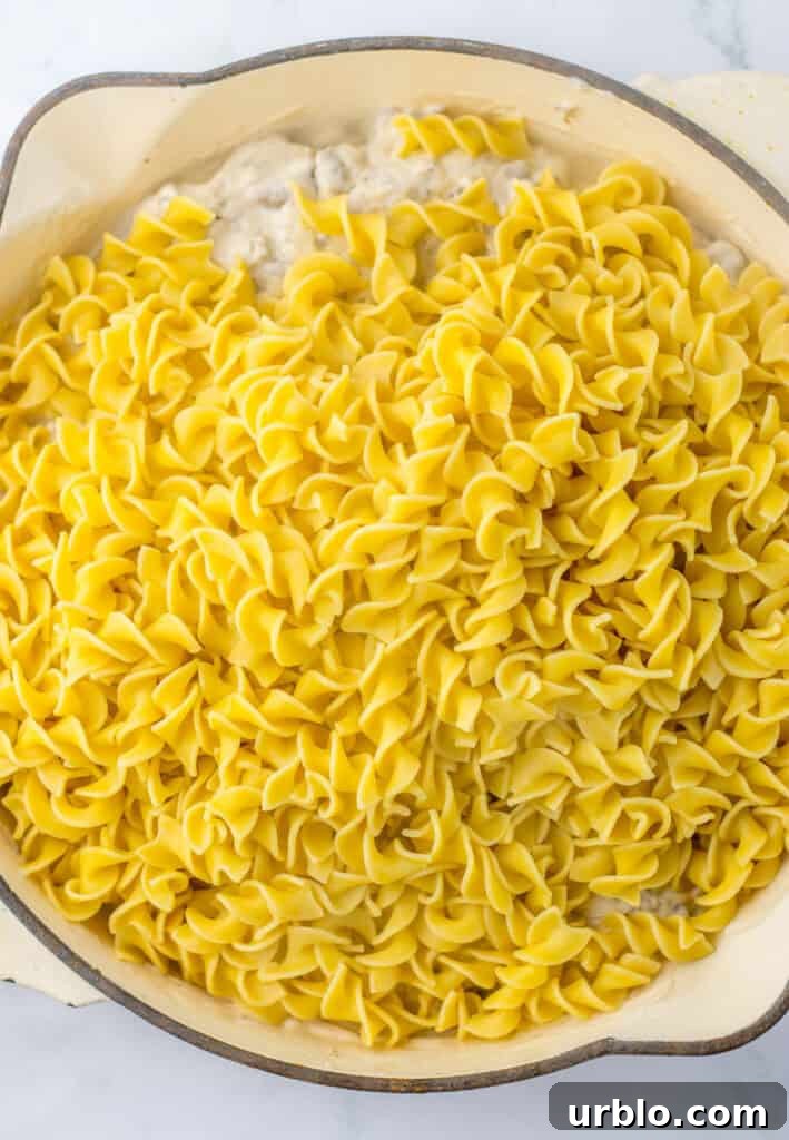 adding noodles to make french onion and beef casserole
