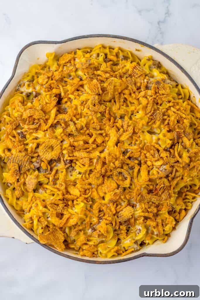 french onion and beef casserole in pot topped with crunchy fried onions