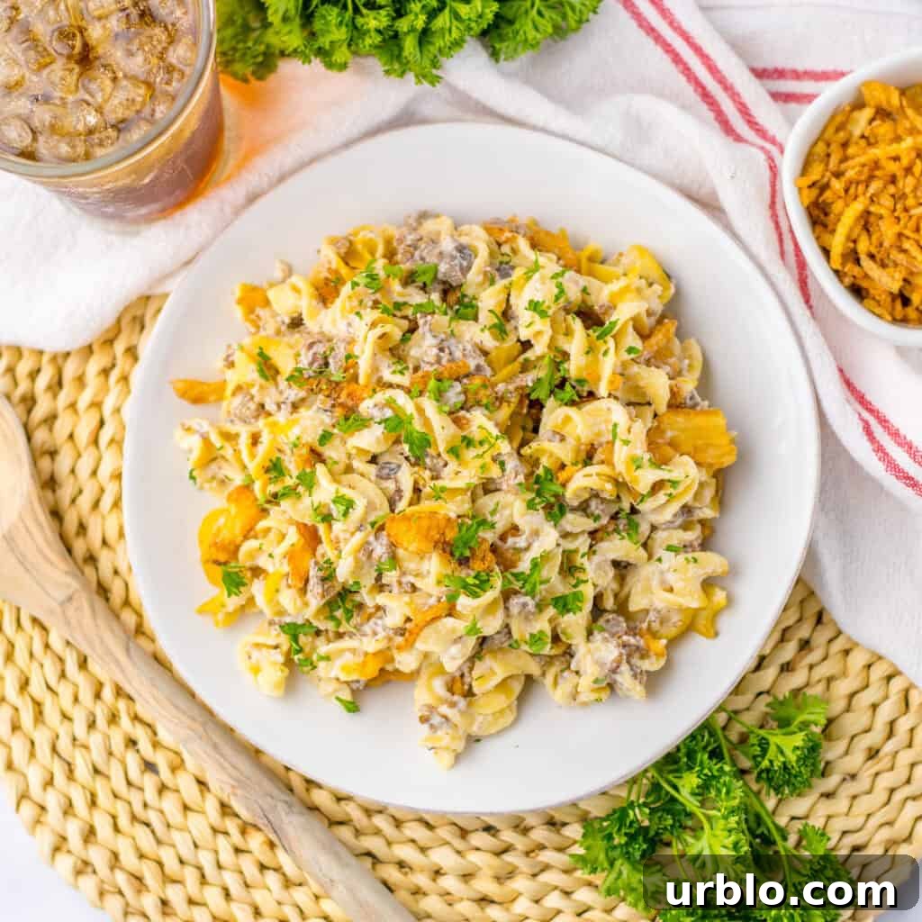 french onion and beef casserole on white plate