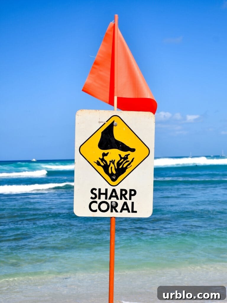 Hawaii Ocean Safety Guide: Tips for Safe Swimming, Surfing, and Snorkeling 2 A Sharp Coral warning ocean safety sign on a beach on Oʻahu, Hawaiʻi.