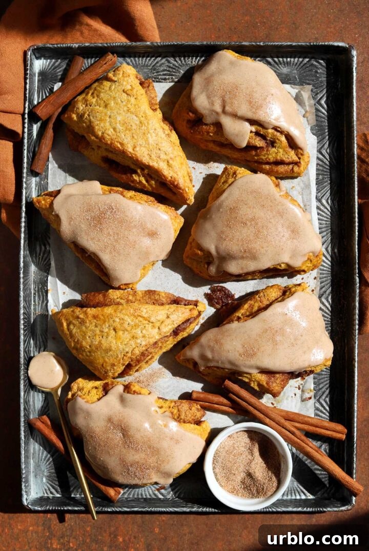 cinnamon swirl pumpkin scones with glaze on baking sheet