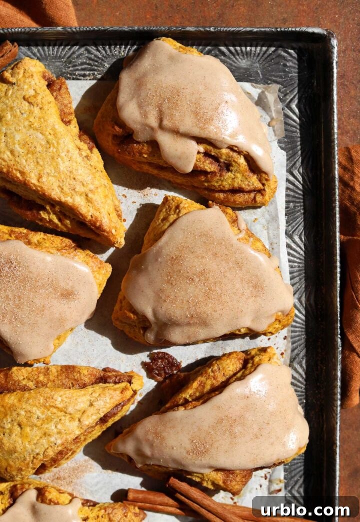 cinnamon swirl pumpkin scones with glaze on baking sheet