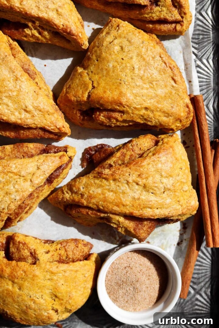cinnamon swirl pumpkin scones without glaze on baking sheet
