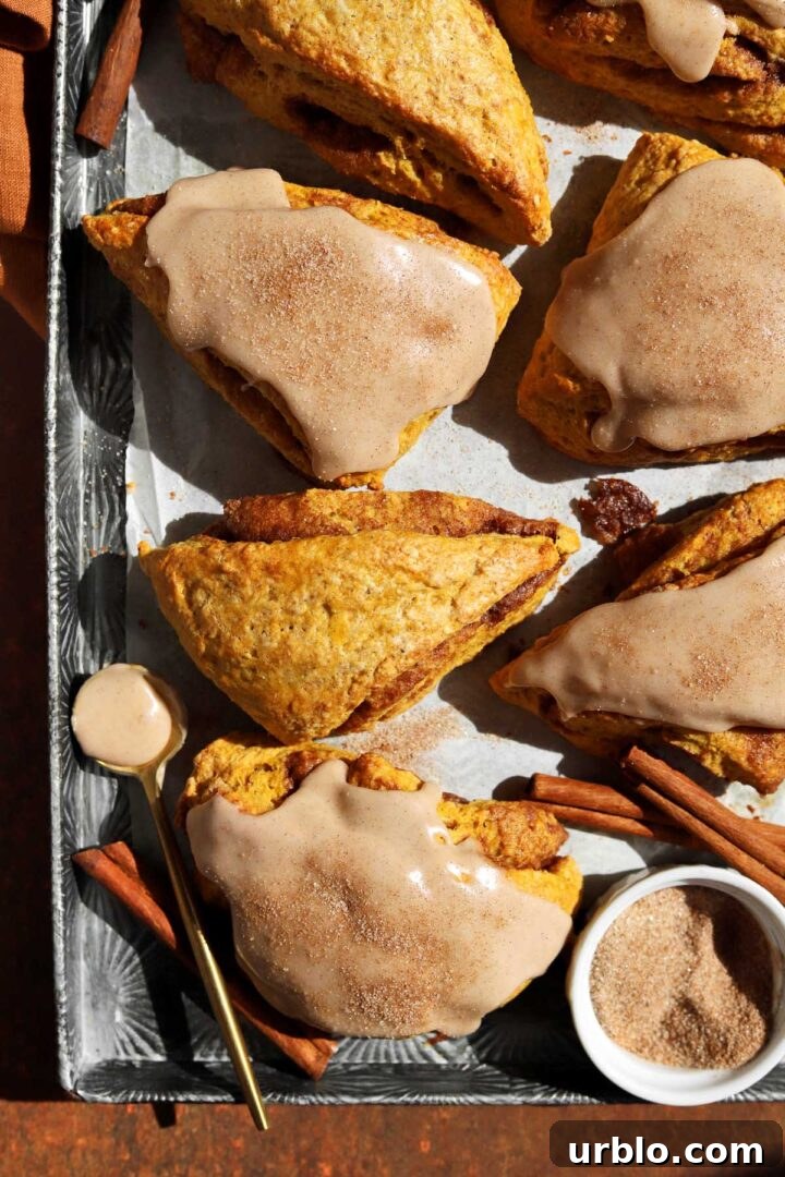 cinnamon swirl pumpkin scones with glaze on baking sheet