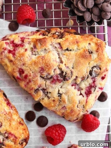 dark chocolate raspberry scones
