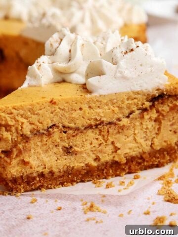 cinnamon swirl pumpkin cheesecake