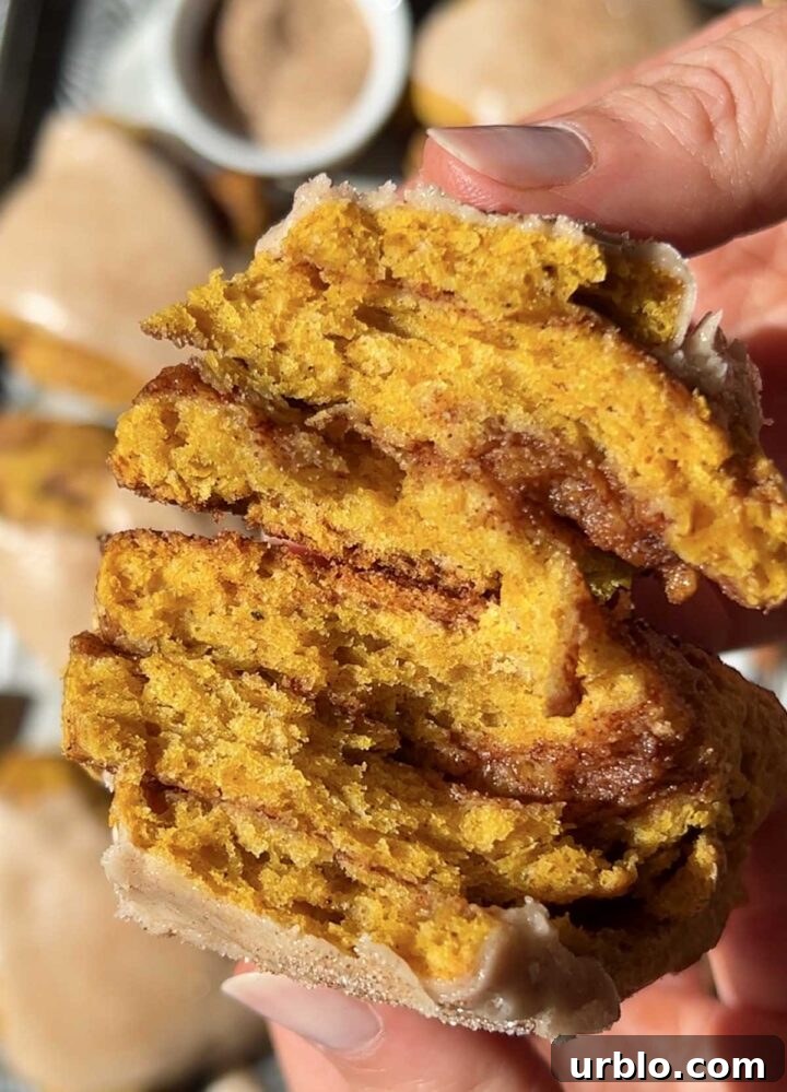 cinnamon swirl pumpkin scones split in half showing cinnamon swirl