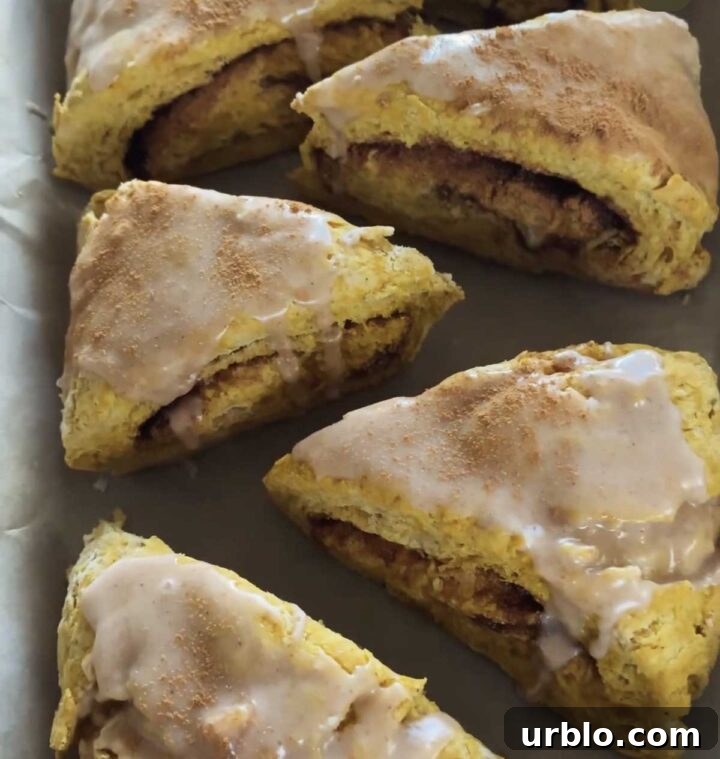 cinnamon swirl pumpkin scones review
