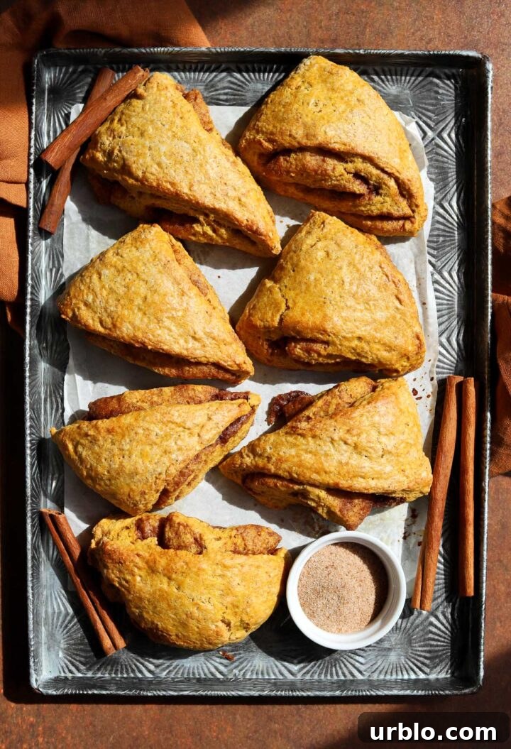 cinnamon swirl pumpkin scones without glaze on baking sheet