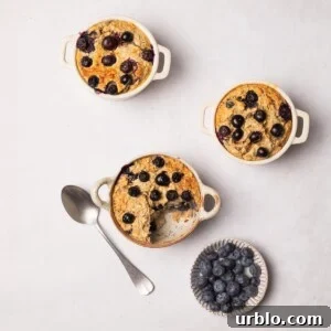 protein baked oats with bluberries.