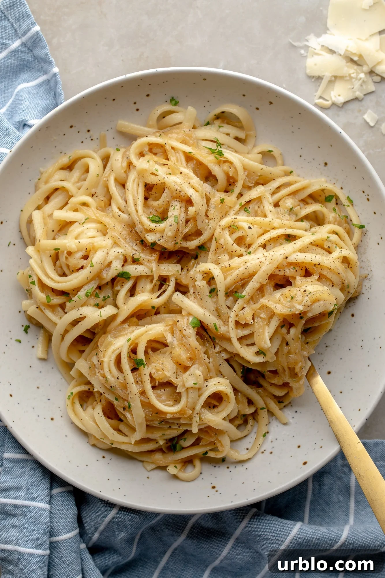 overhead view of a bowl of vegan caramelized onion pasta.