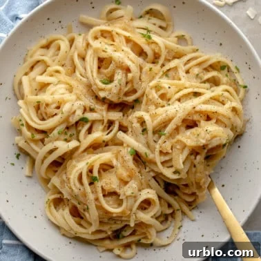 close up on a bowl of vegan caramelized onion pasta.