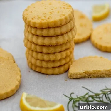 Square image of cookies.