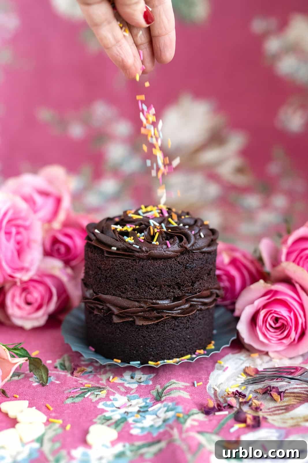 Mini naked chocolate cake topped with sprinkles