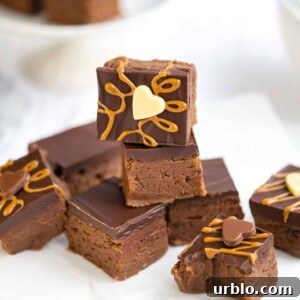 Biscoff fudge