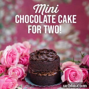 Mini chocolate cake photo