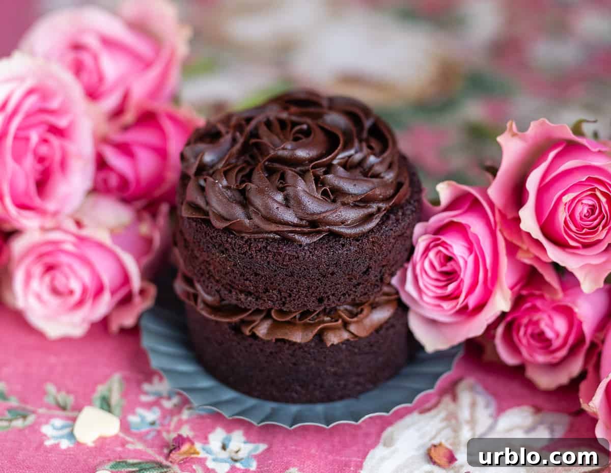 Two mini chocolate cake layers