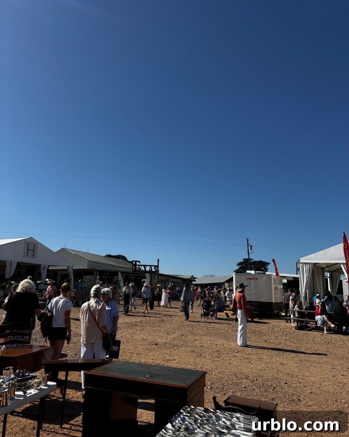 Where to Find Vintage Antiques in Round Top, Texas 13 img 28955 12