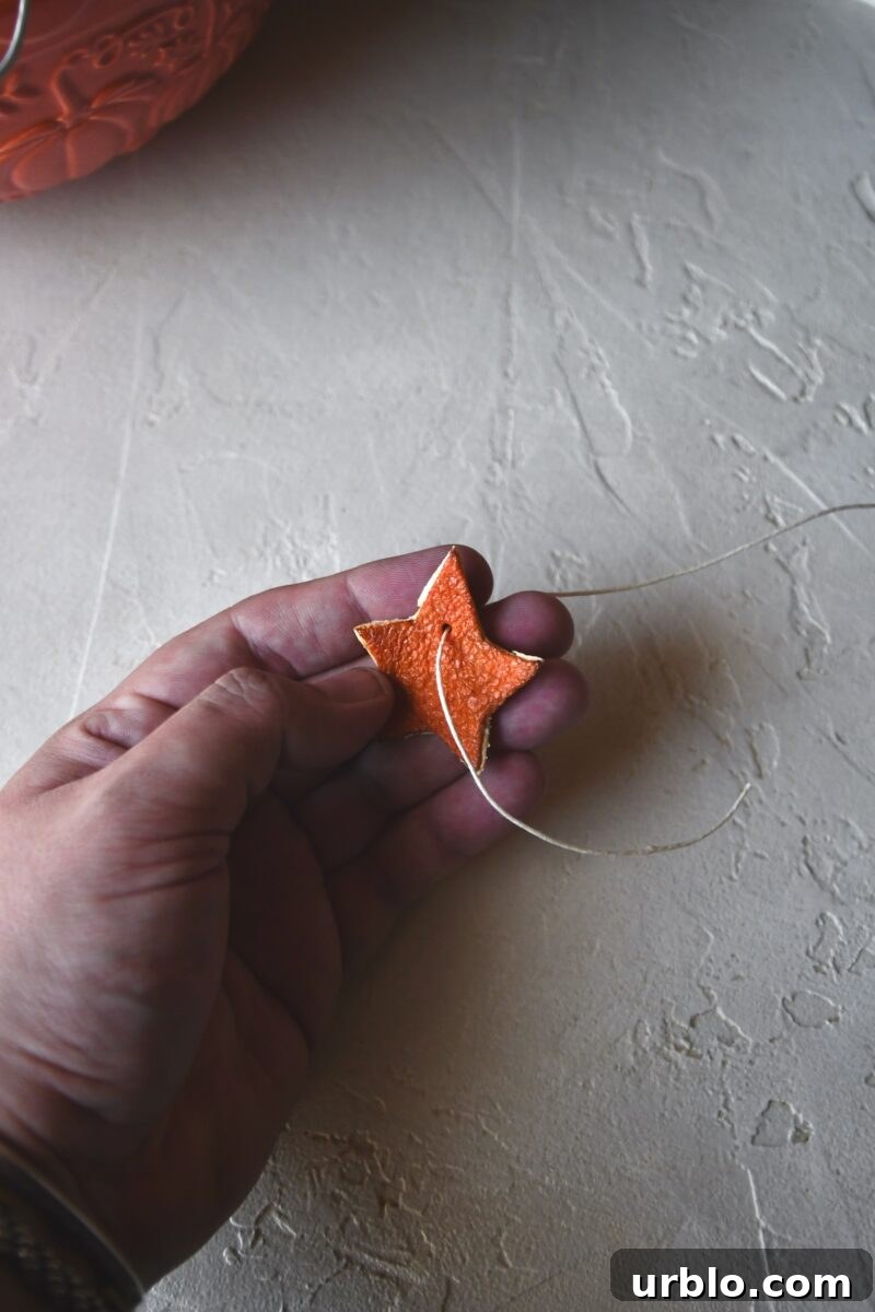 Poking the twine through a hole in dried orange peel stars.