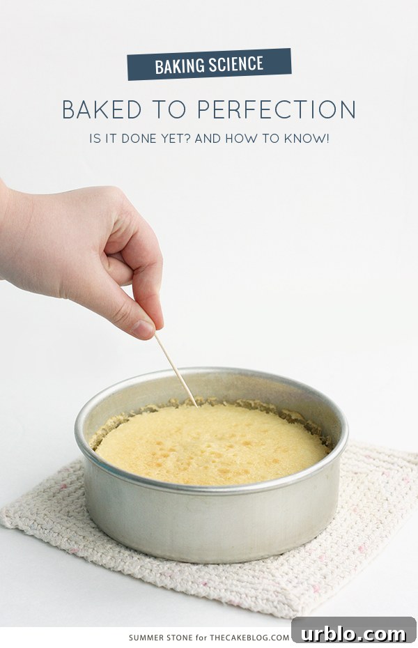 Baked to Perfection - how baking time affects cake moisture and structure | by Summer Stone for TheCakeBlog.com