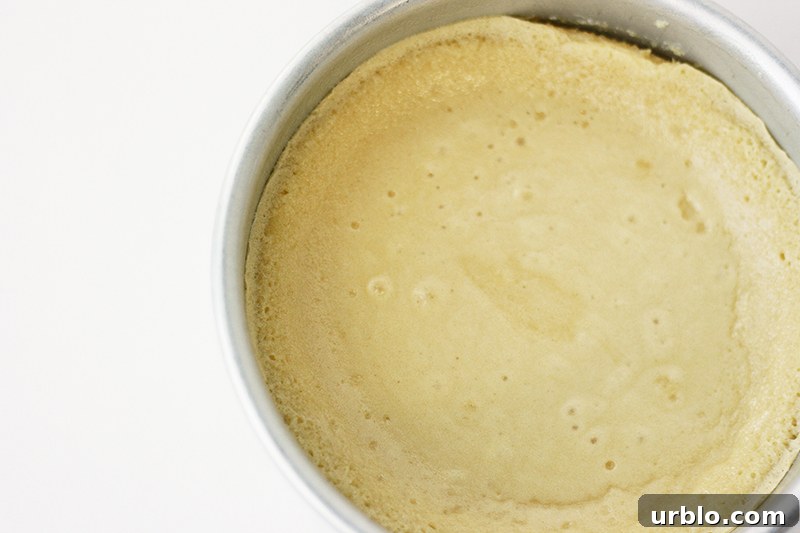 Baked to Perfection - how baking time affects cake moisture and structure | by Summer Stone for TheCakeBlog.com