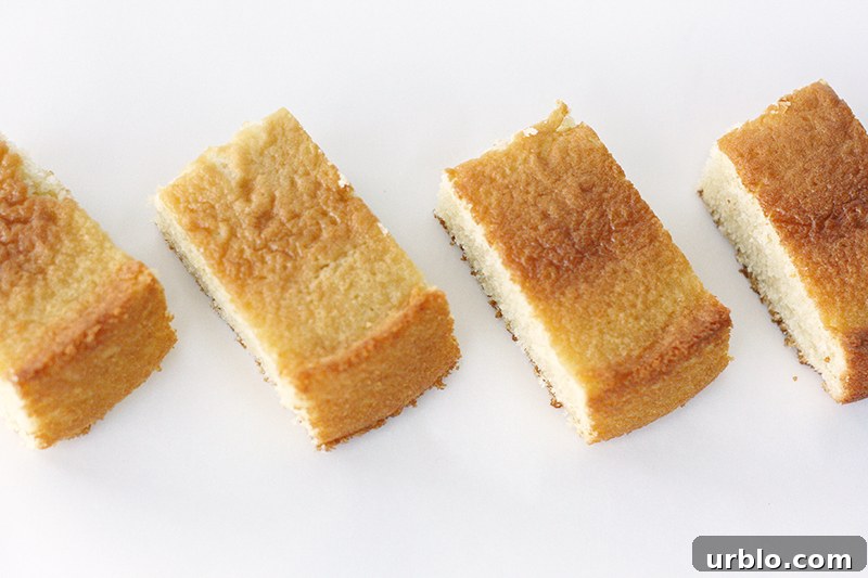 Baked to Perfection - how baking time affects cake moisture and structure | by Summer Stone for TheCakeBlog.com