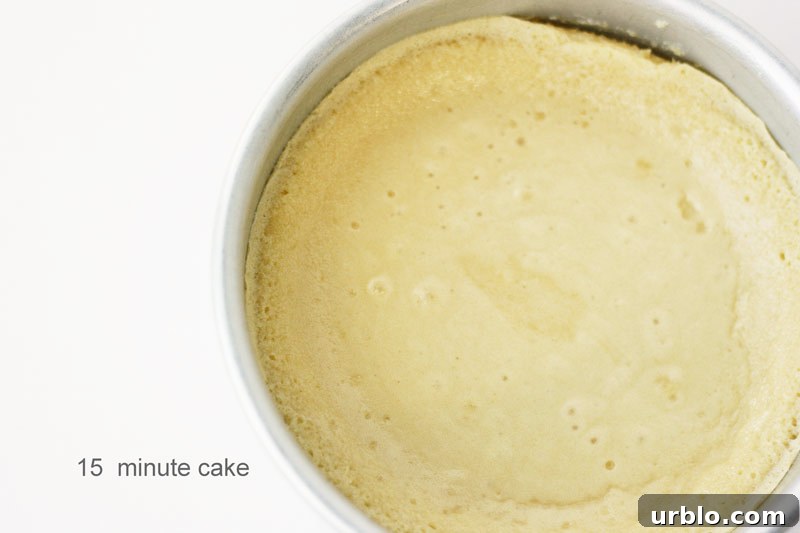 Baked to Perfection - how baking time affects cake moisture and structure | by Summer Stone for TheCakeBlog.com