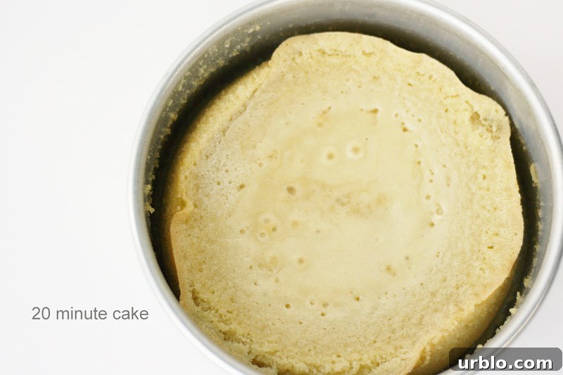 Baked to Perfection - how baking time affects cake moisture and structure | by Summer Stone for TheCakeBlog.com