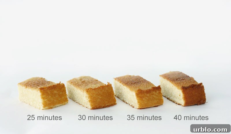 Baked to Perfection - how baking time affects cake moisture and structure | by Summer Stone for TheCakeBlog.com